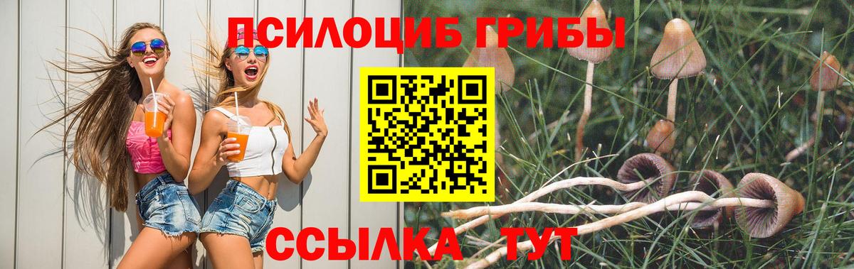 Псилоцибиновые грибы Cubensis  Вход с VPN  наркошоп  Борзя 